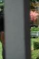 VLCSnap00583.jpg